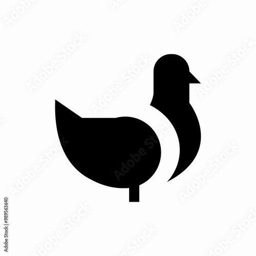 pigeon bird icon sign vector