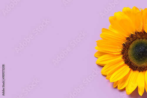 Beautiful sunflower on purp...