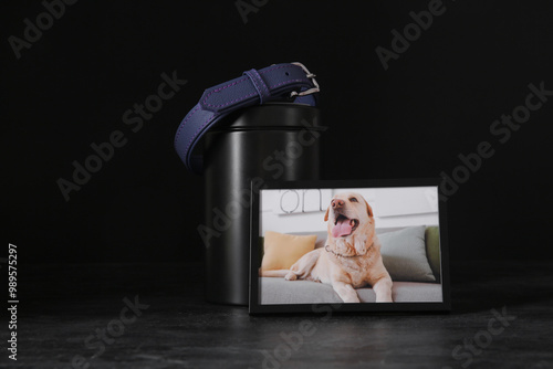 Frame with picture of dog, ...