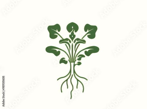 Green abstract plant design on white background in minimalist style. Concept of eco-friendly branding and nature-themed products