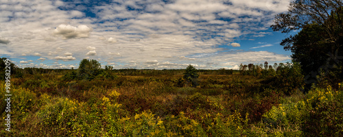 Scenic Overlook at Great Swamp NWR