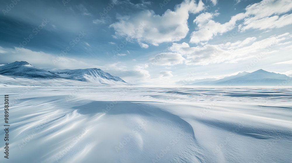 A windswept snowy plain stretching out toward distant mountains with snow drifts creating soft waves across the landscape under a cloudy winter sky.