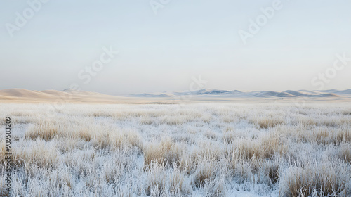 Obraz na płótnie A vast snow-covered prairie stretching to the horizon with low hills barely visible in the distance and a soft layer of frost covering the tall grasses. w salonie