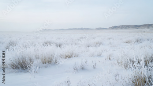 Obraz na płótnie A vast snow-covered prairie stretching to the horizon with low hills barely visible in the distance and a soft layer of frost covering the tall grasses. w salonie