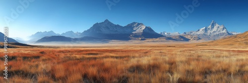 High-Altitude Serenity, tranquil plateau, distant majestic peaks, soft focus background, clear blue sky, peaceful and expansive atmosphere
