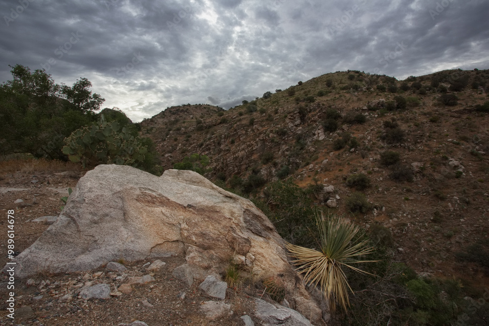 Dry, rugged Mount Lemmon ridge view in Catalina Mountains of Arizona in America's Southwest region Dry, rugged Mount Lemmon ridge view in Catalina Mountains of Arizona in America's Southwest region