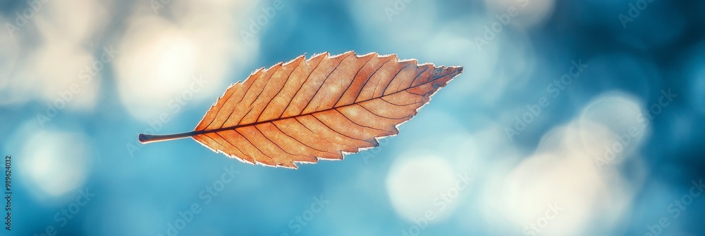 Leaf in the Breeze, a delicate leaf dances in the wind against a backdrop of soft blue sky and fluffy white clouds