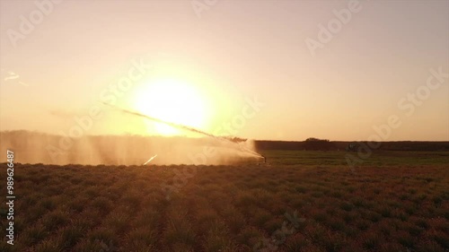 Irrigation