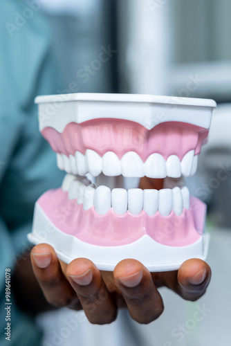 Wallpaper Mural Orthodontist hygienist dentist holding jaw model Torontodigital.ca