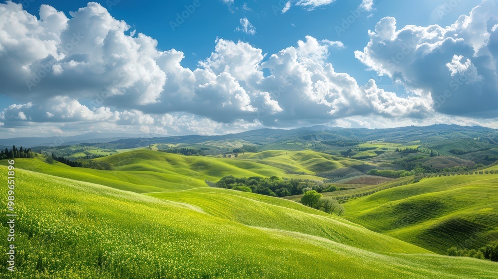 Obraz premium Landscape of rolling hills, picturesque countryside with green fields and scenic meadows, rural farmland in a sunny summer morning.