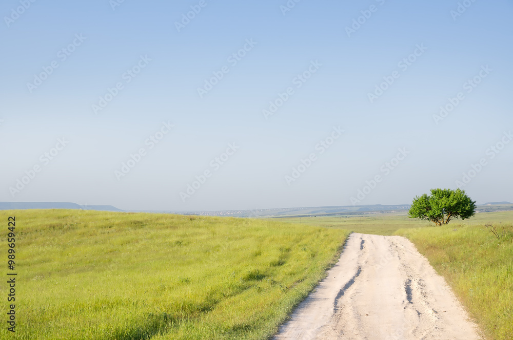 A lonely tree standing by the road in a field in summer. A lonely tree standing by the road in a field in summer.