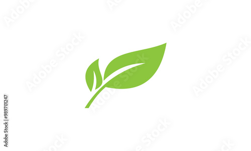 green plant isolated on white