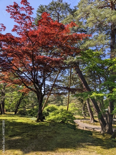 庭園風景