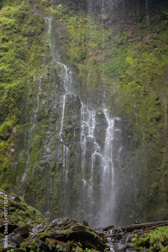 cascada de agua en bosque ecologico para actividades outdoor