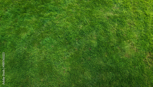 Lawn grass texture background. Top view from drone. © Uuganbayar