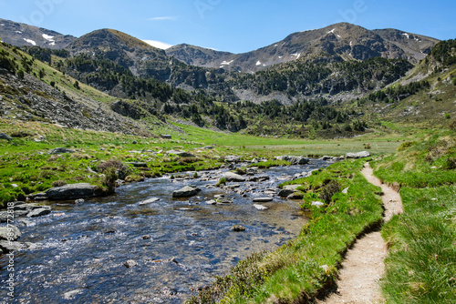 Clear creek in beautiful alpine meadows of Incles Valley, Andorra