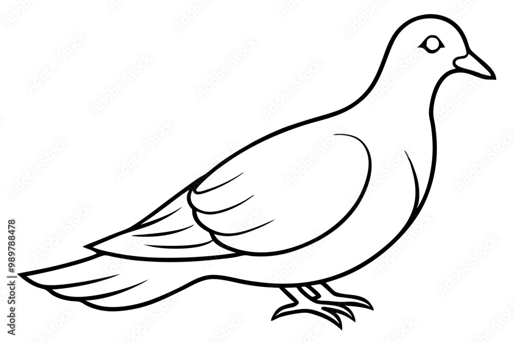 a dove of peace line art vector illustration isolated on white background a dove of peace line art vector illustration isolated on white background