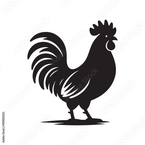 Chicken Illustrations and Photos High Quality Poultry Images for Creative Projects