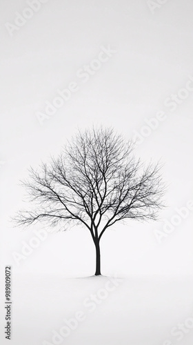 silhouette of a bare tree in a snowy field - minimalist winter landscape photography