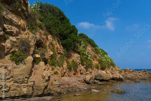 A scenic coastal cliffside covered with greenery and cacti, gently meeting a calm, clear sea under a bright blue sky. A tranquil and picturesque coastal environment