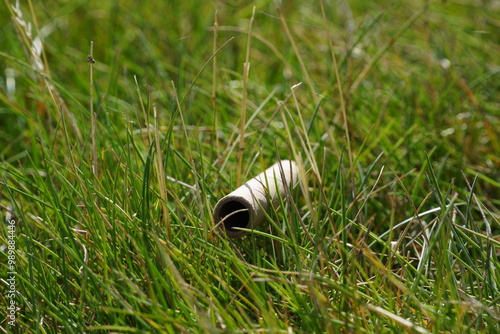 Close up of cardboard straw sitting grass photo