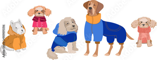 set png Cute dogs in warm winter  clothes. Flat vector illustration isolated on transparent  background