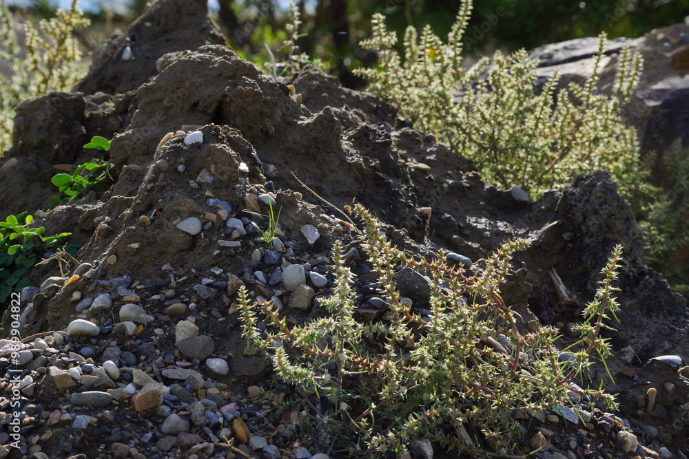 Fototapeta premium Pile of rubble and stone with clusters of weeds on them