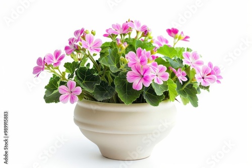 Wallpaper Mural Vibrant pink flowers in a white pot, showcasing their beauty against a clean background. Torontodigital.ca