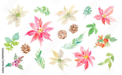 A vector illustration set of abstract poinsettias, holly, and pine cones painted in watercolor. Illustrations for holiday season cards, patterns, and gift wrapping.