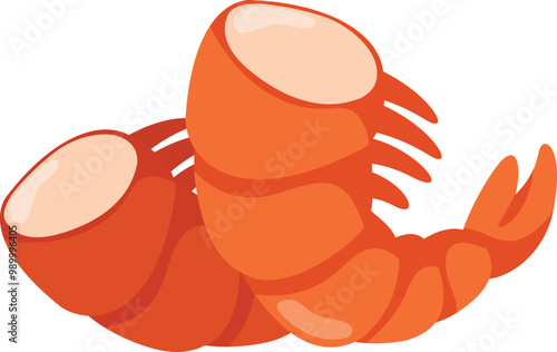 illustration of shrimp on a white background