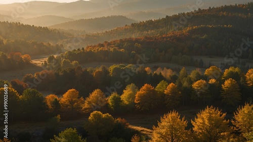 Crisp Air Sunrise Vista. A crisp autumn sunrise casting golden light over a quiet forested valley. Realistic style. photo