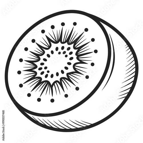 Kiwi fruit vector illustration, outline, silhouette on white background.