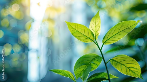 A close-up of fresh leaves with a blurred office building in the background, symbolizing the balance between nature and urban life. 