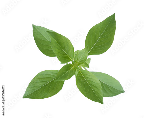 thai basil herb isolted, top view, png