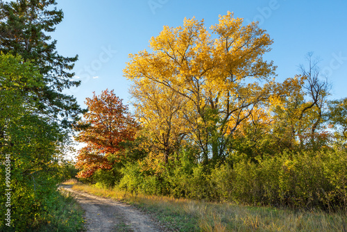 Fall foliage country road scene in Brooklyn Park Minnesota at the Mississippi Gateway Regional Park during an autumn evening at golden hour