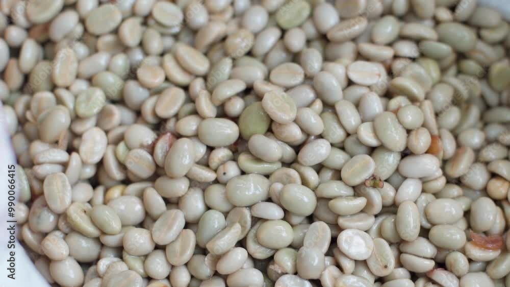 Coffee beans after being peeled. Coffee beans after being peeled.