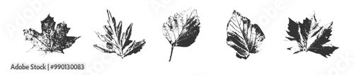 Set of black print autumn leaves on a white background. Isolated traced ink fall objects. Vintage vector illustration on transparent backdrop