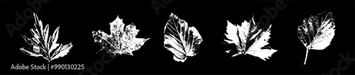 Set of white print autumn leaves on a black background. Traced ink fall objects. Vintage vector illustration on dark background