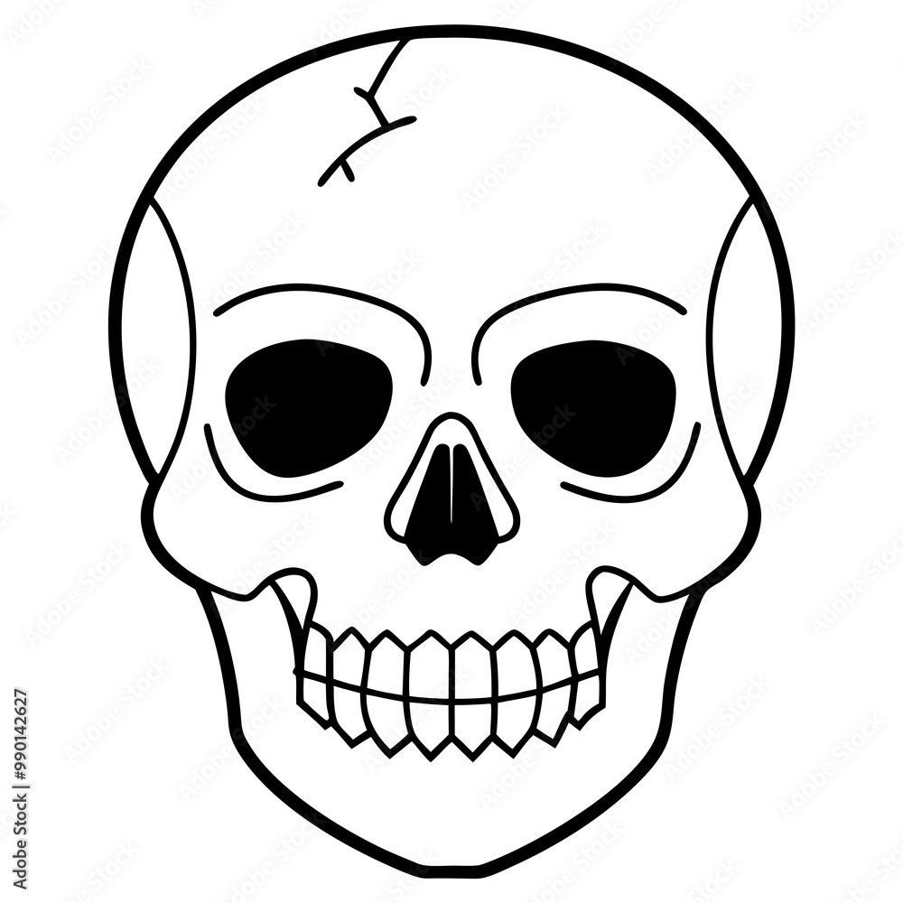 human skull vector human skull vector