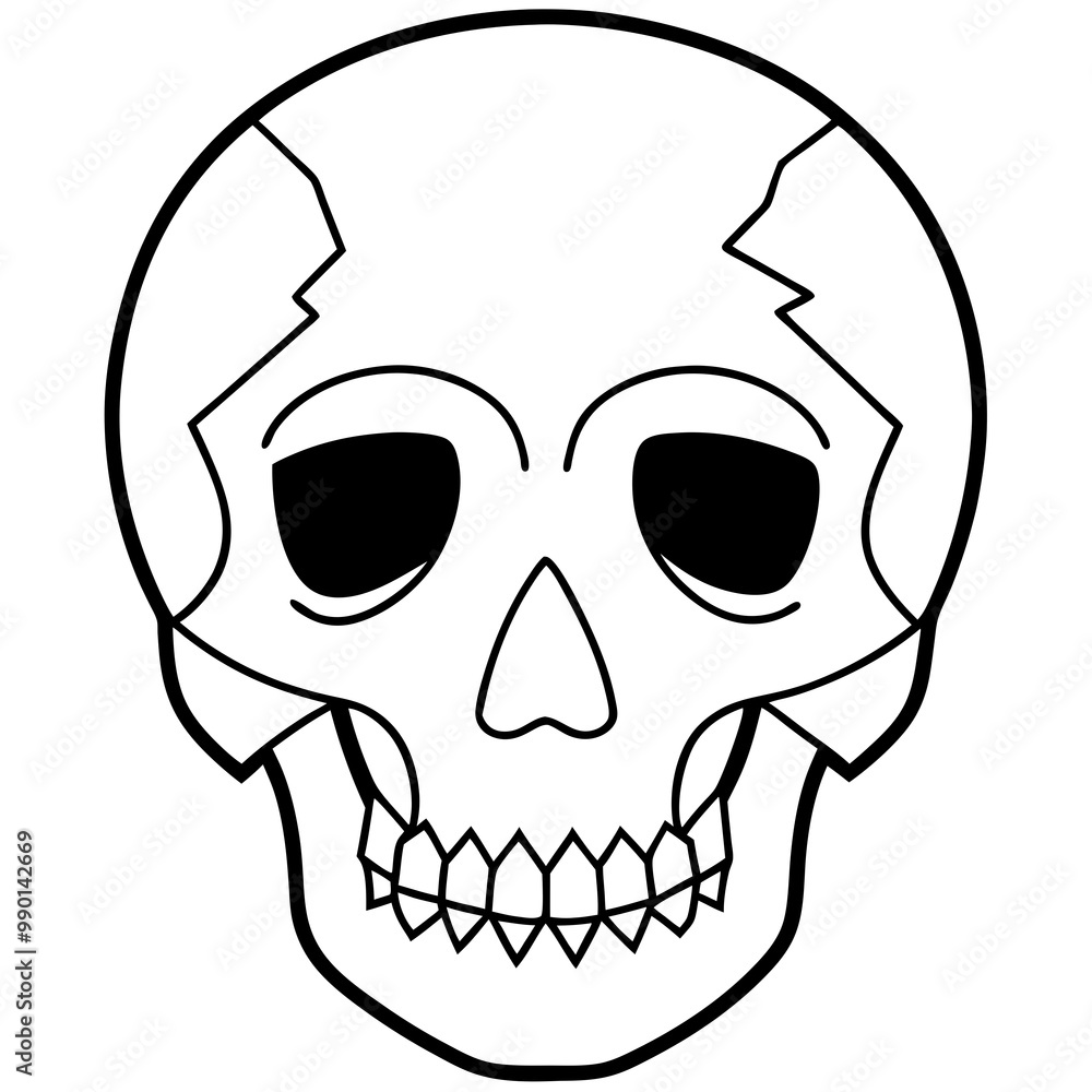 Fototapeta premium human skull