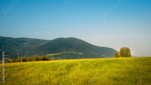 Fototapeta Naklejka Na Ścianę i Meble -  Krajobraz Beskidu Wyspowego - widok na Szczebel