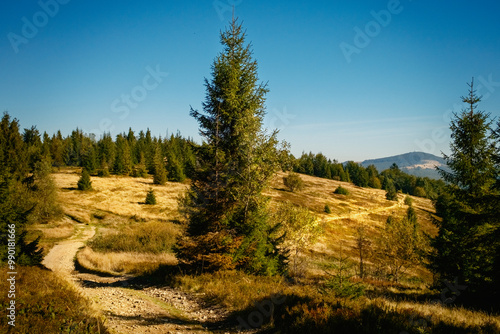 Beskid Wyspowy - krajobraz górski Beskidów - widok na Mogielice