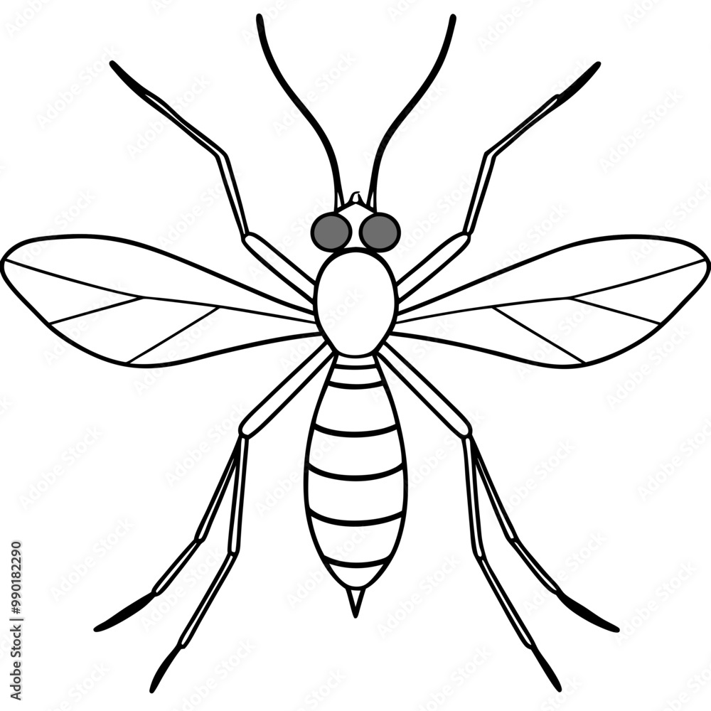 Obraz premium dragonfly illustration