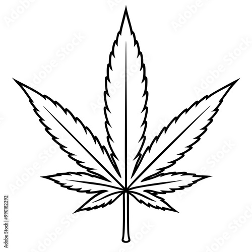 cannabis leaf vector