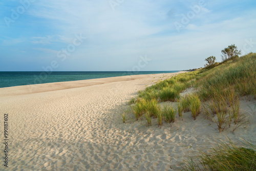 Obraz na płótnie Long white sand beach in the Curonian Spit National Park. Kaliningrad region. Russia w salonie