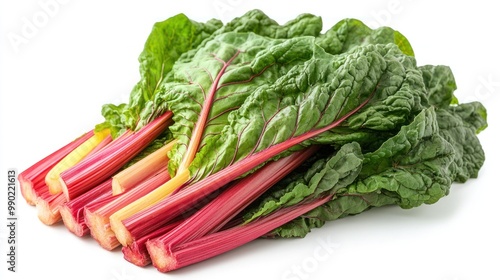 Freshly Harvested Rainbow Chard