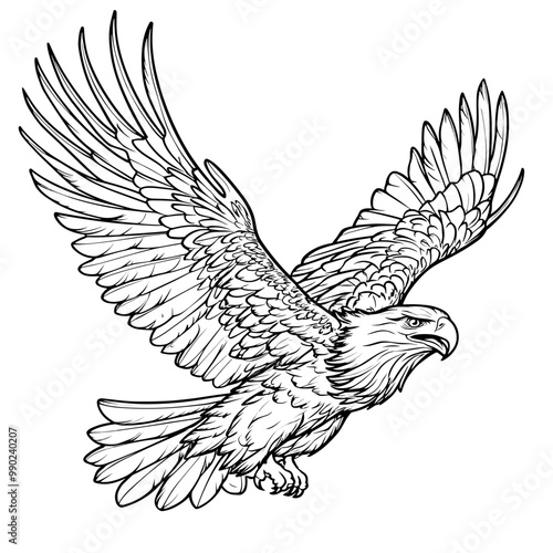 Bald Eagle Colouring Page element, isolated on white
