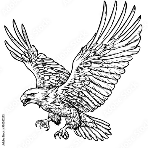 Bald Eagle Colouring Page element, isolated on white