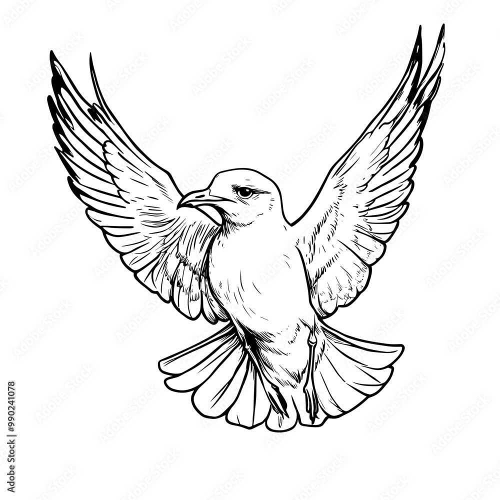 Obraz premium Seagull flying illustration coloring page for kids