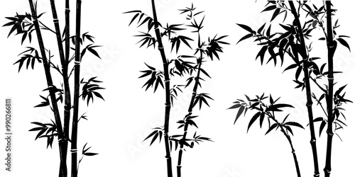 Silhouette of bamboo, vector illustration, white background,